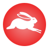 Signe du zodiaque chinois du lapin