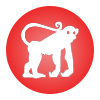 Signe du zodiaque chinois du singe